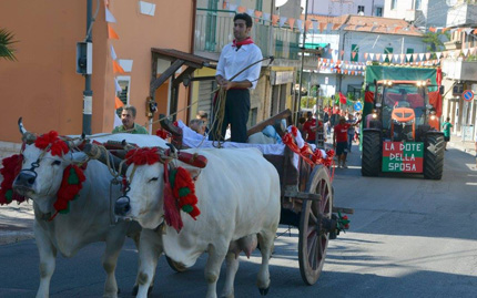 Palio delle Pupe, sfilata, foto Joseph G.17